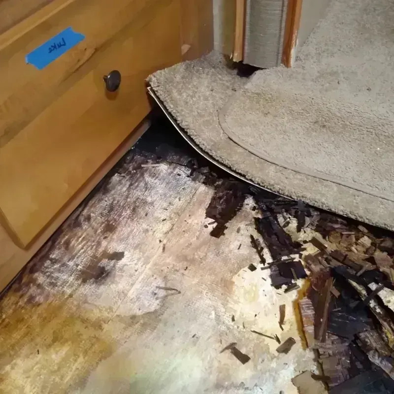 Wood Floor Water Damage in Grady County, GA